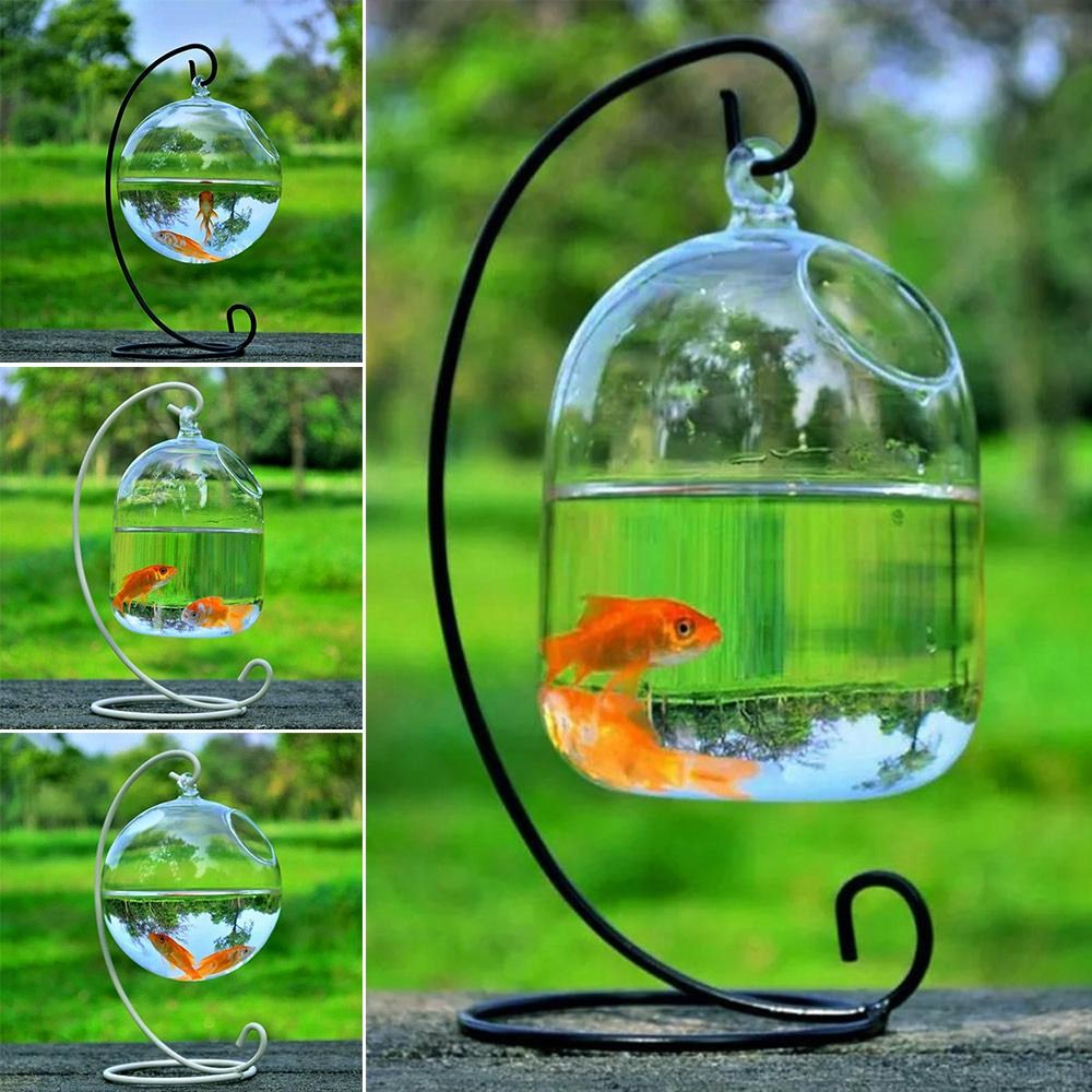 Aquarium Fish Jar - Aquarium-Dekoration Wandmontage mit Halterung Heimdekoration Fischbecken