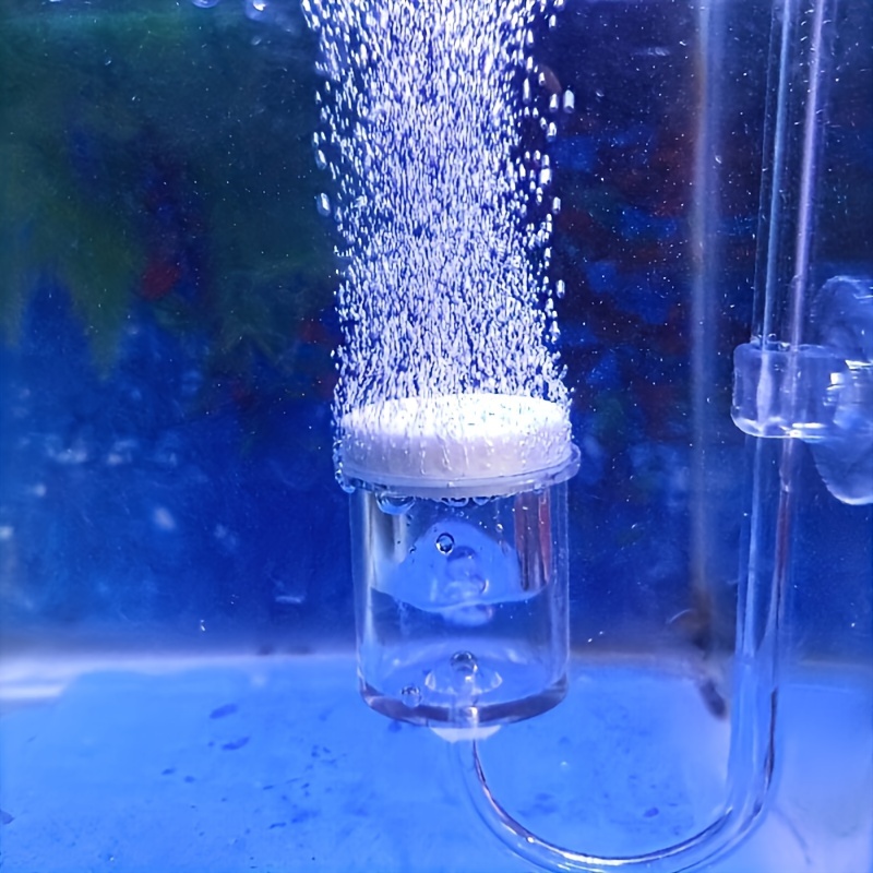 Aquarium Fish Quarantine - Aquarium Glas CO2 Zerstäuber Diffusor Blase