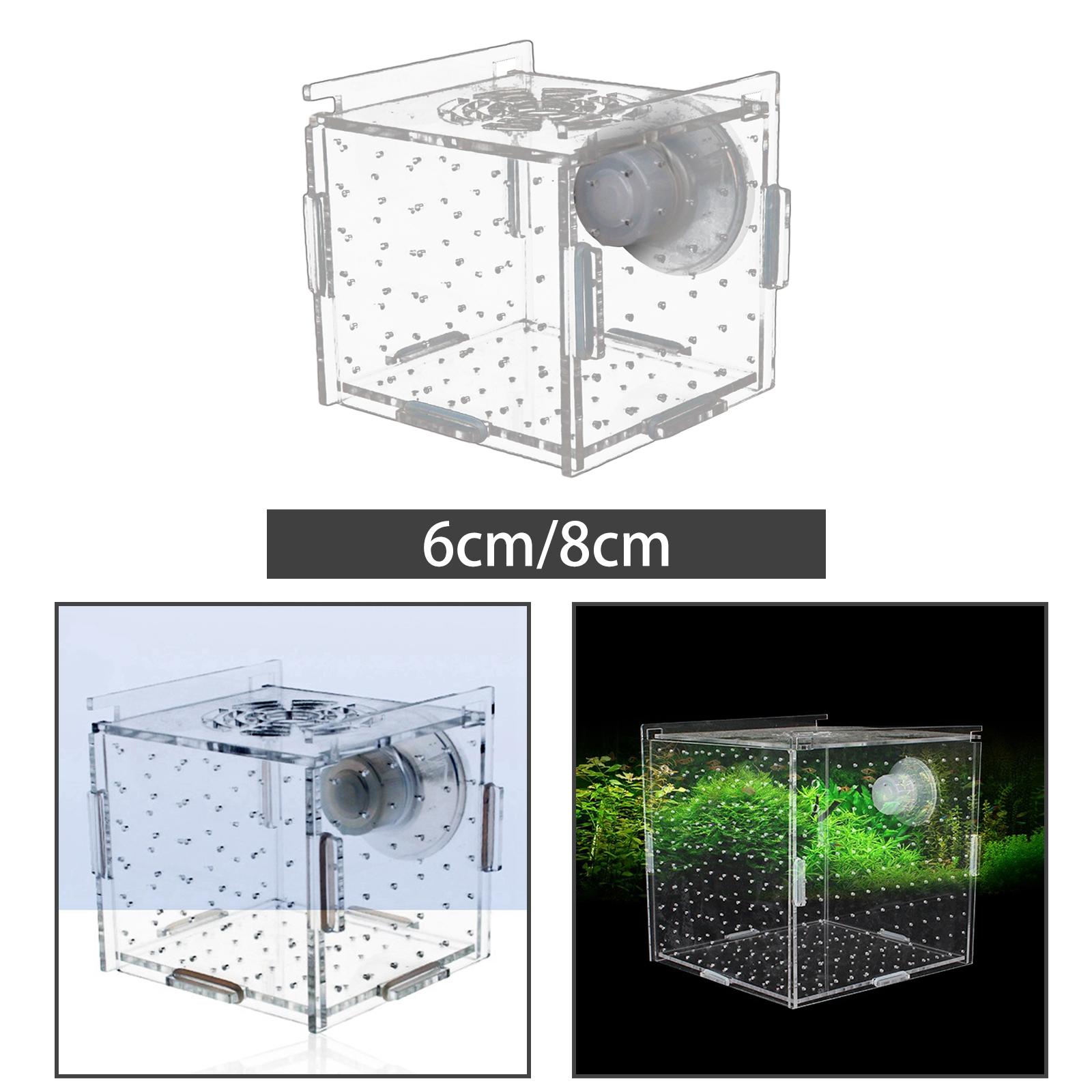 Aquarium Fish Jar - Fischzüchter-Box, transparent, langlebig, Saugnapf, Acryl, Aquarium-Zubehör