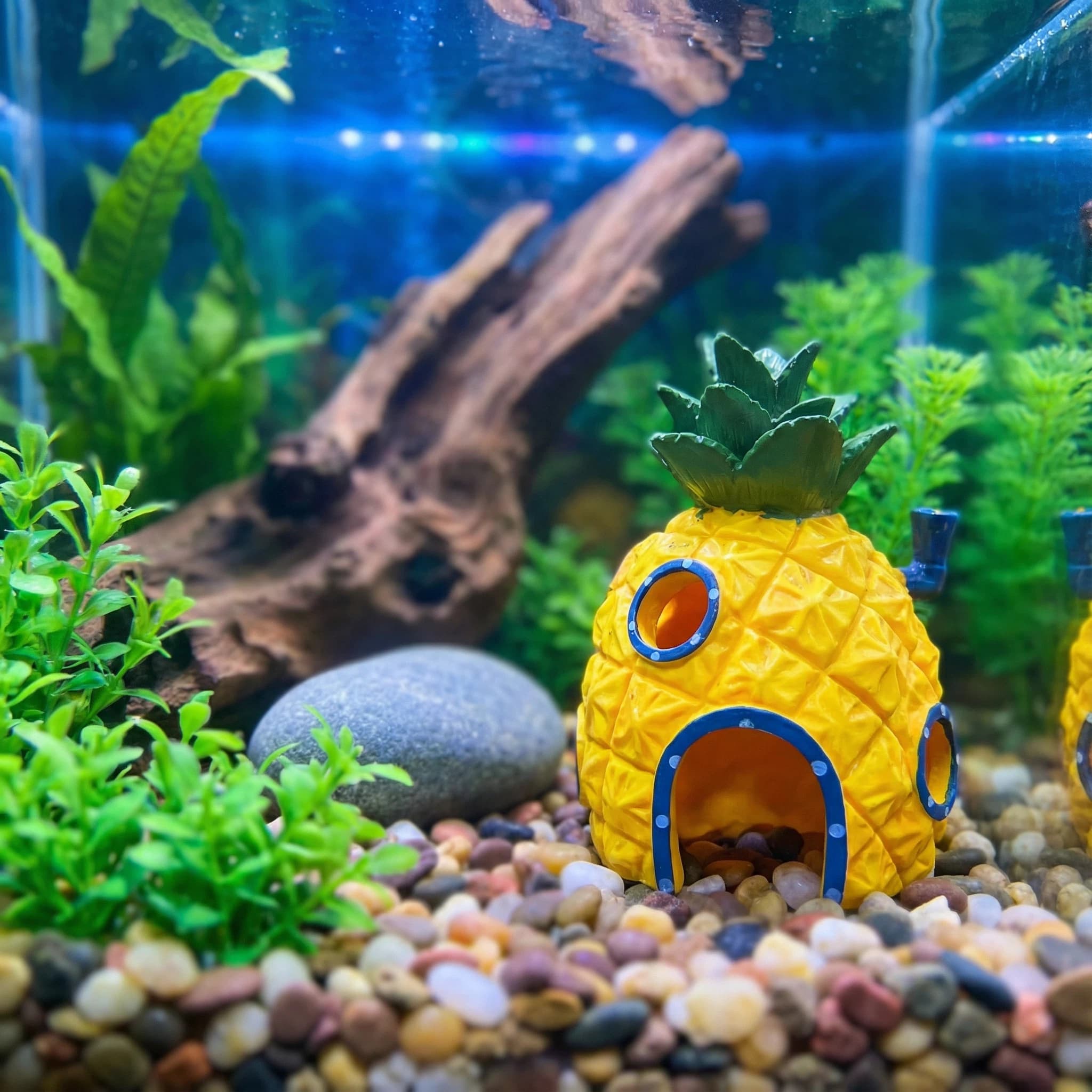 Aquarium Fish Cave - Ananas-Haus-Aquarium-Dekoration, umweltfreundliche Versteckhöhle aus Kunstharz für