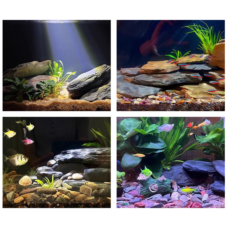 500/1000g Aquarium-Landschafts – Fish Aquarium Home Bewertung und Preis