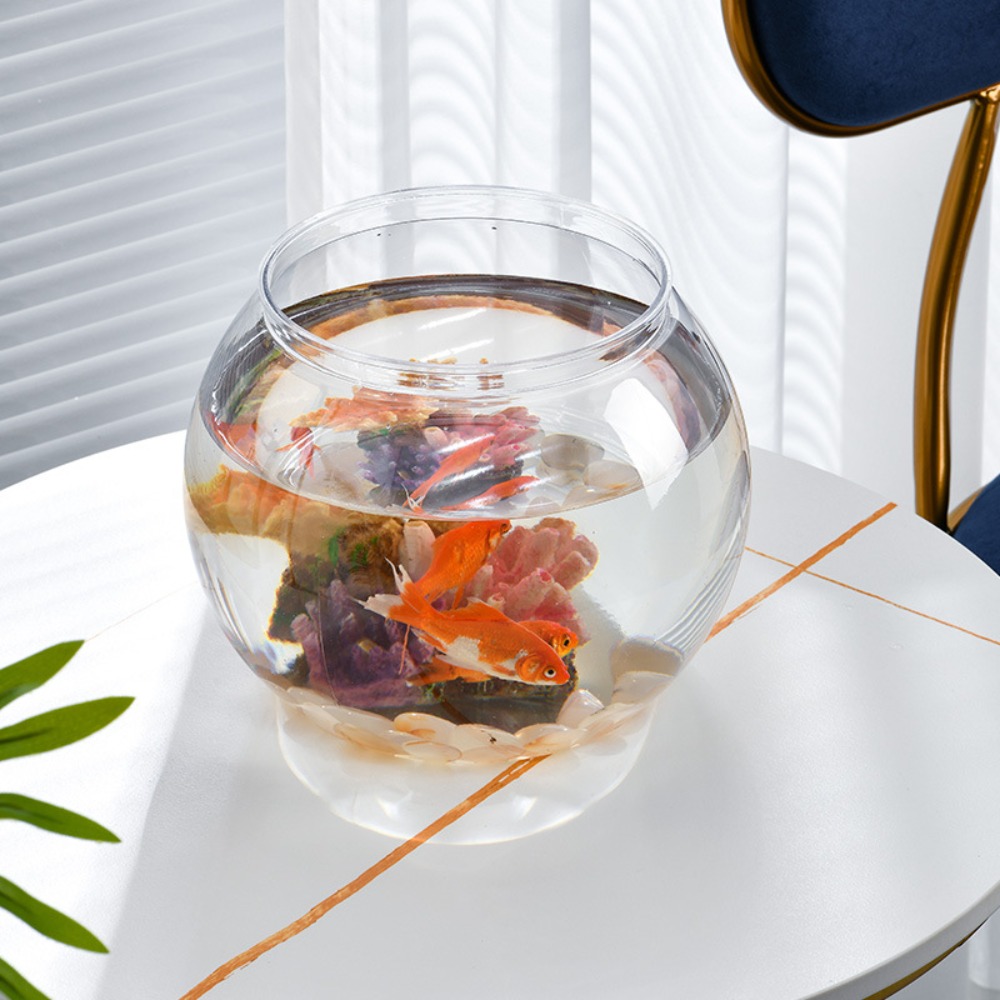 Transparentes rundes Fischbeck – Aquarium Fish Jar Bewertung und Preis