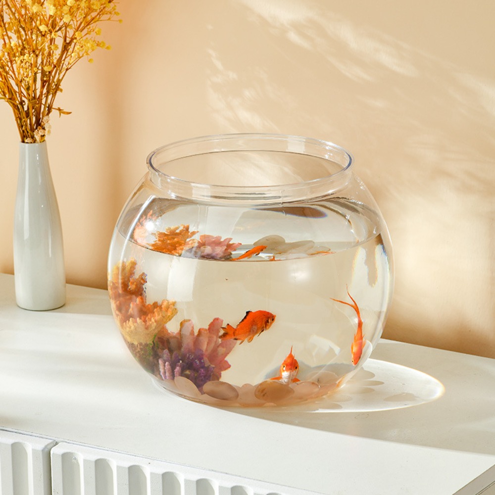 Transparentes rundes Fischbeck – Aquarium Fish Jar Bewertung und Preis