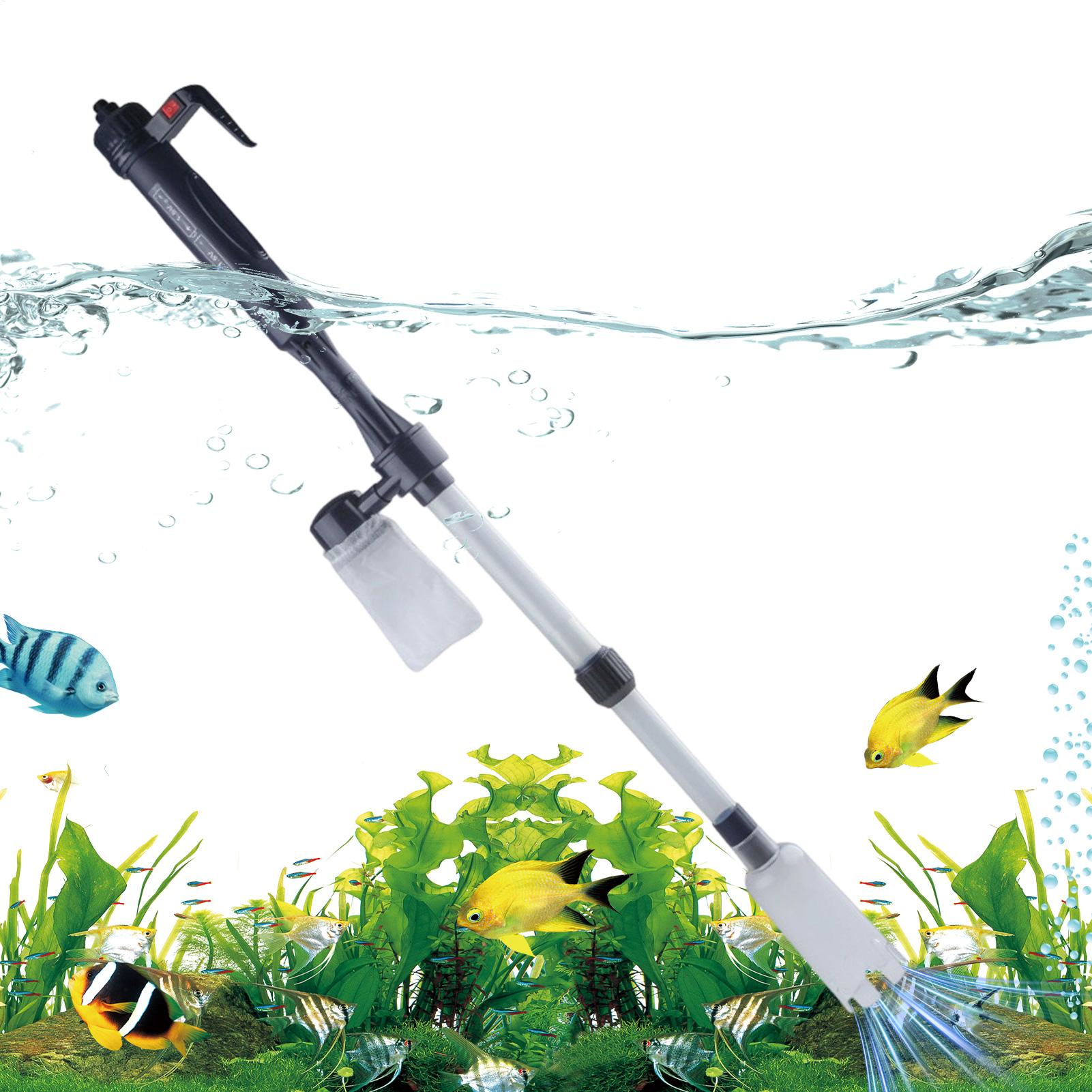 Heiß begehrter Aquarium-Staubs – Aquarium Fish Sale Bewertung und Preis