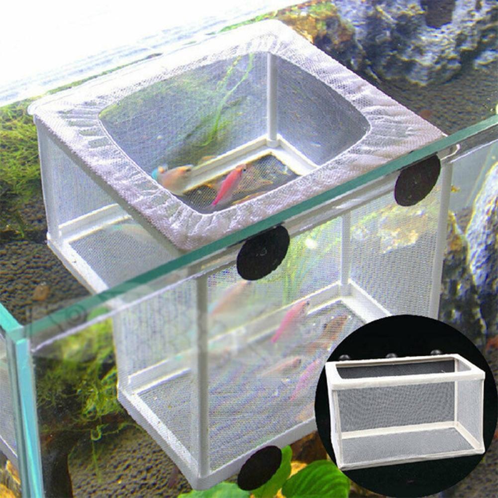 Aquarium-Fischzuchtbox mit Sau – Aquarium Fish Jar Bewertung und Preis