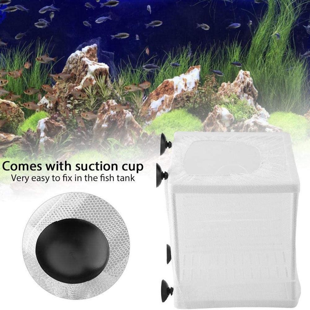 Aquarium-Fischzuchtbox mit Sau – Aquarium Fish Jar Bewertung und Preis