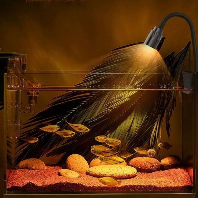 3 W südamerikanischer Aquarium – Aquarium Fish Light Lamp Bewertung und Preis