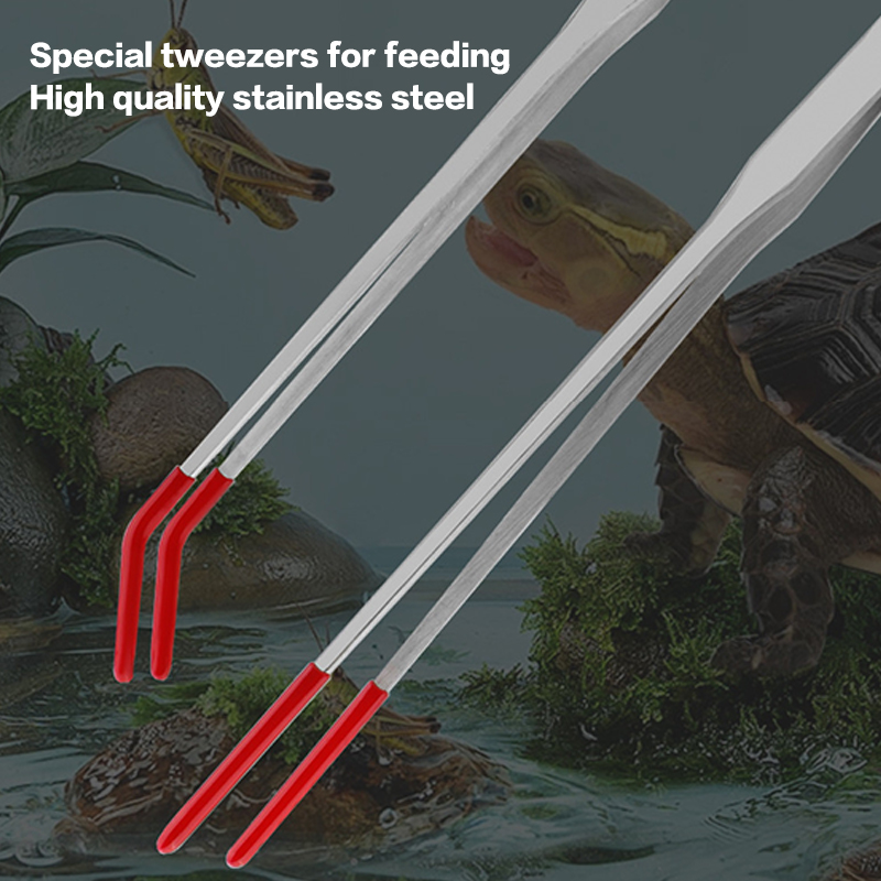 Edelstahl-Wartungswerkzeuge fü – Aquarium Fish Quarantine Bewertung und Preis
