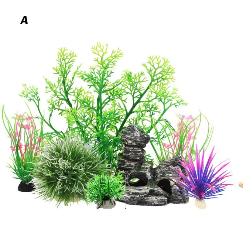 10 Stück Bestseller Neuerschei – Aquarium Fish Sale Bewertung und Preis