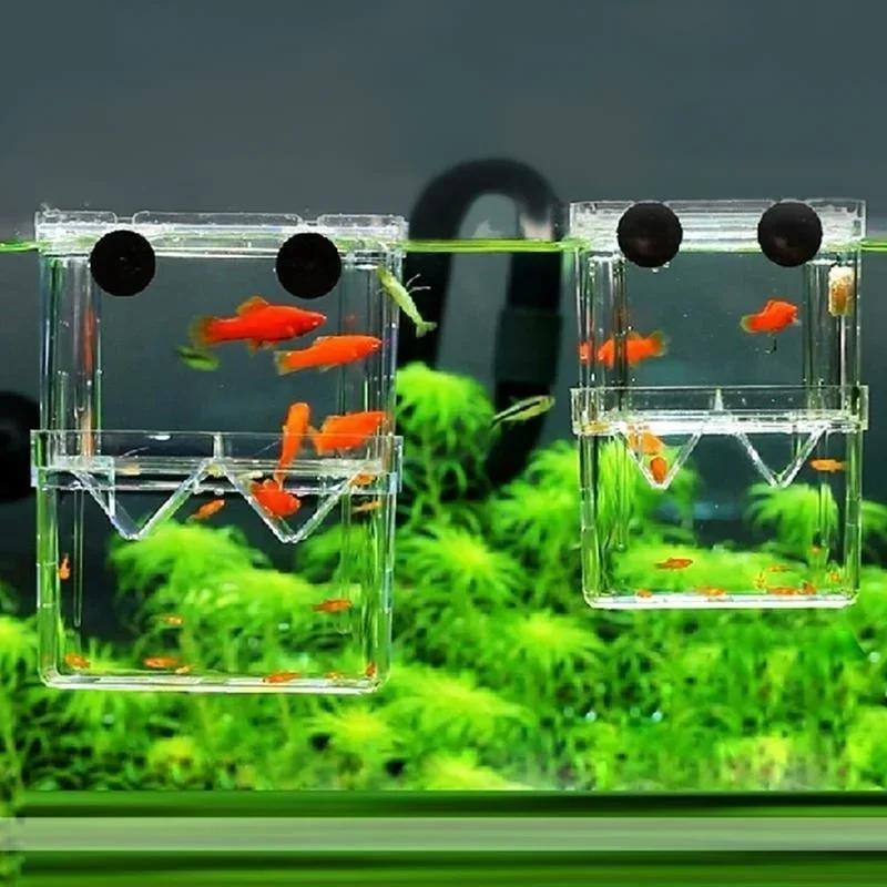 Transparente Fisch Aquarium Ho – Aquarium Fish Cave Bewertung und Preis