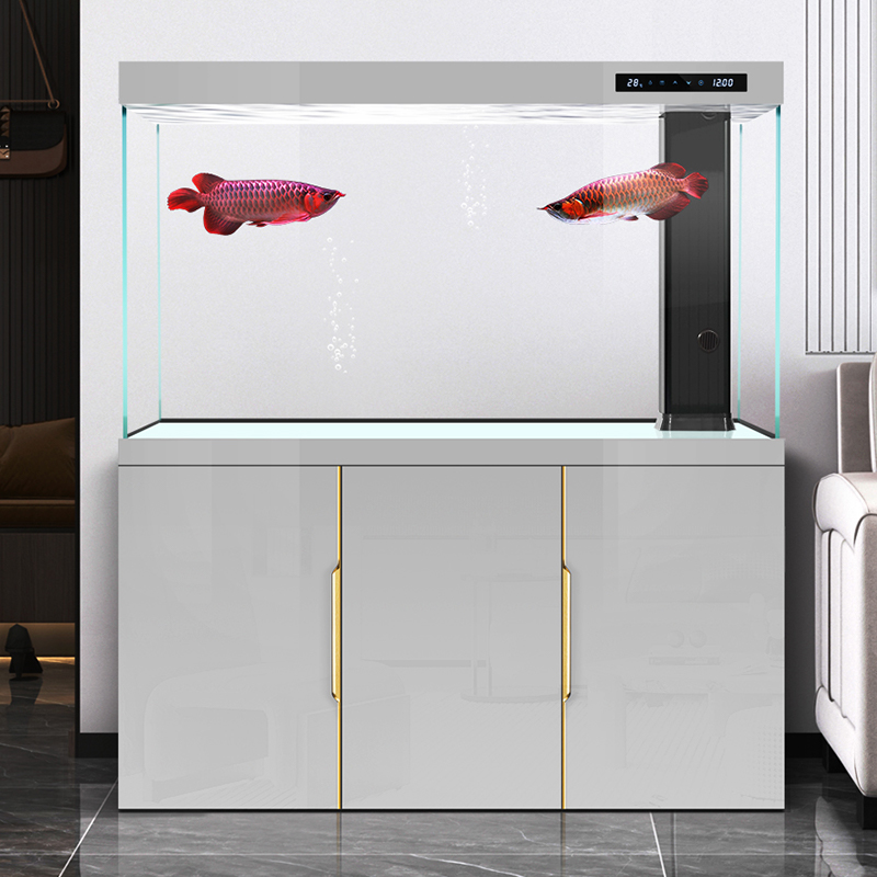 Aquarium-Wohnzimmer 2025, neue – Aquarium Fish Dragon Bewertung und Preis