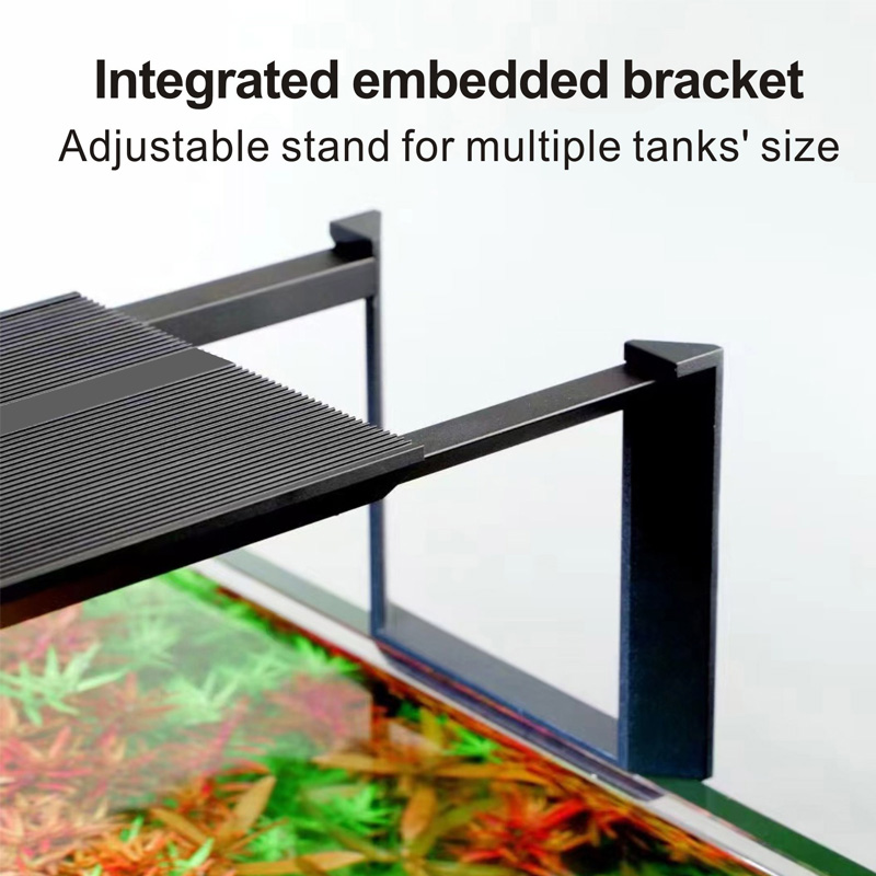 Nemo-Süßwasser-Aquariumlampe,  – Aquarium Fish In Nemo Bewertung und Preis