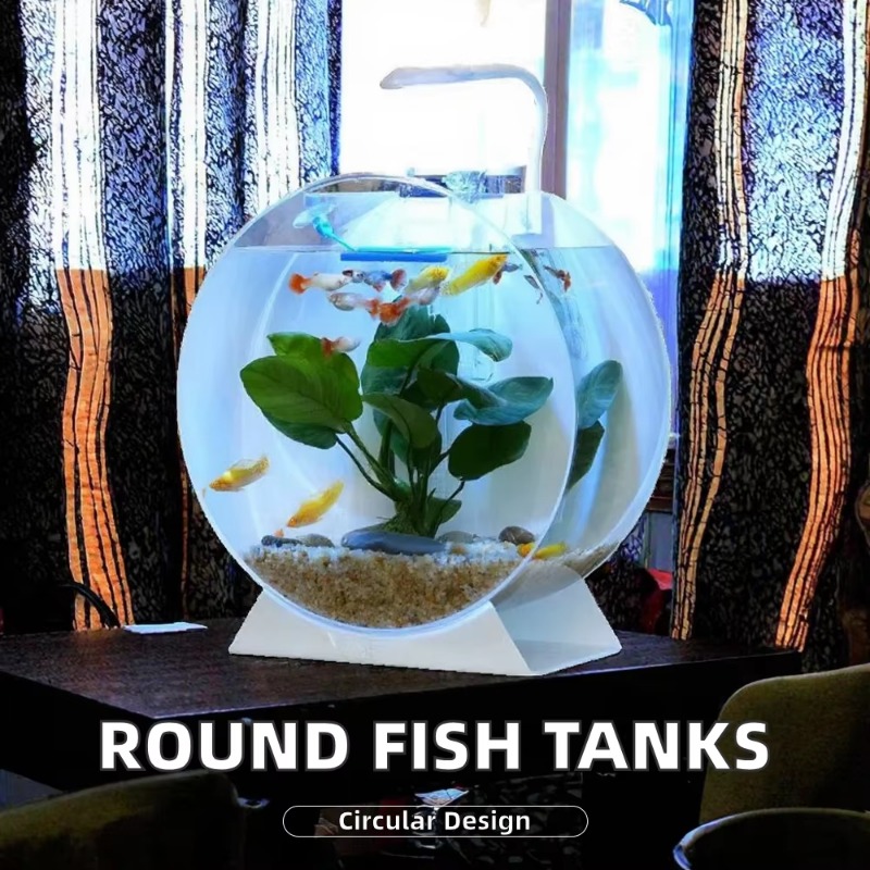Heißer Verkauf Moderne Umweltf – Aquarium Fish Sale Bewertung und Preis