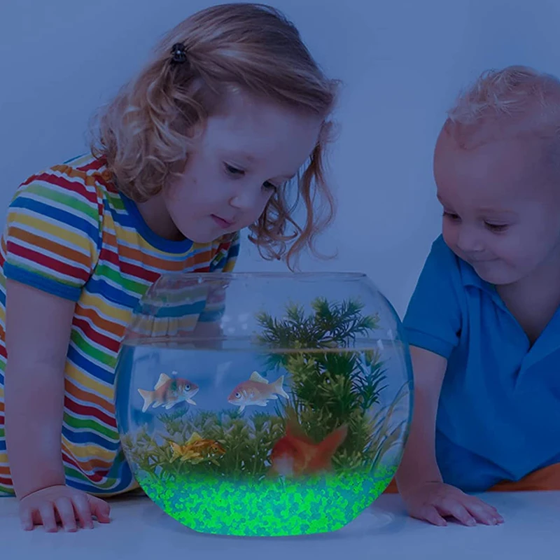 1000 Stück 3–5 mm leuchtender  – Fish Aquarium Home Bewertung und Preis