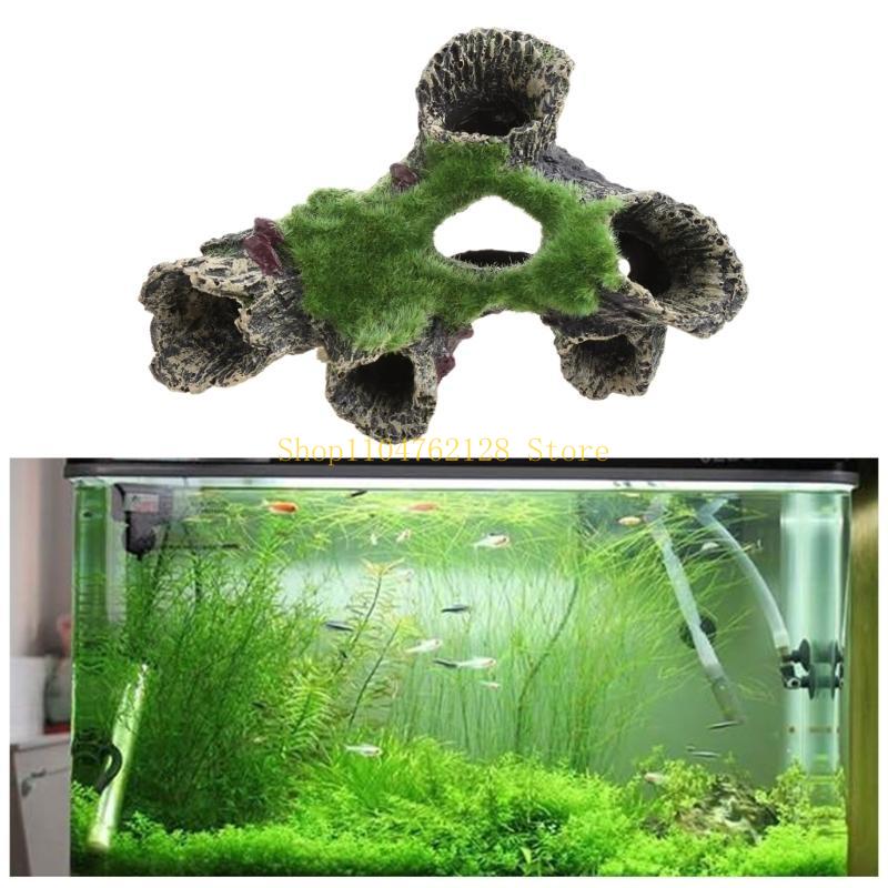 Fische für Tank-Dekoration, Aq – Aquarium Fish Sale Bewertung und Preis