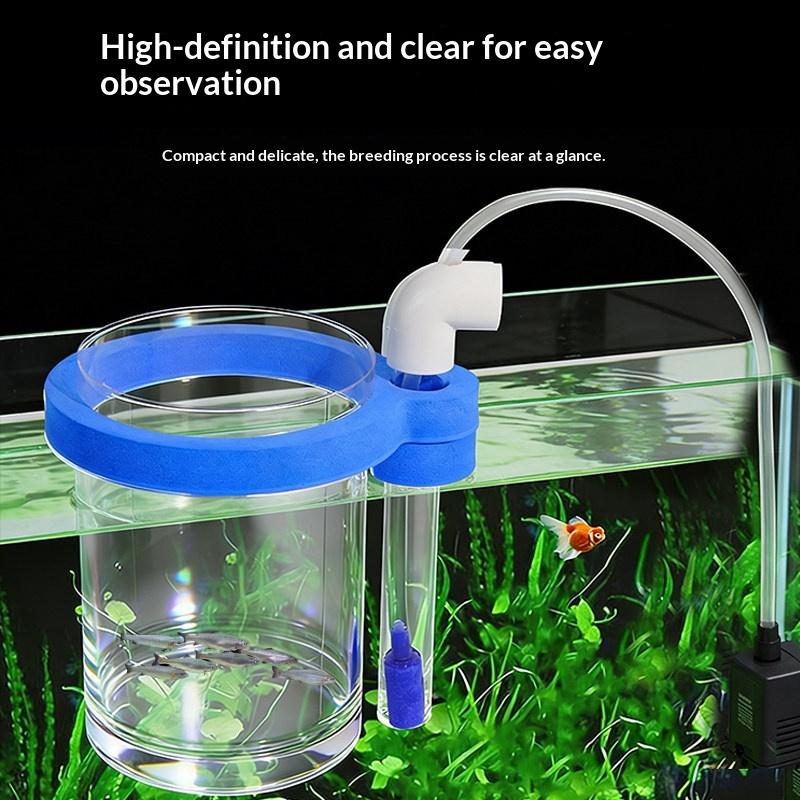 Transparente Acryl-Fischzuchtb – Aquarium Fish Jar Bewertung und Preis