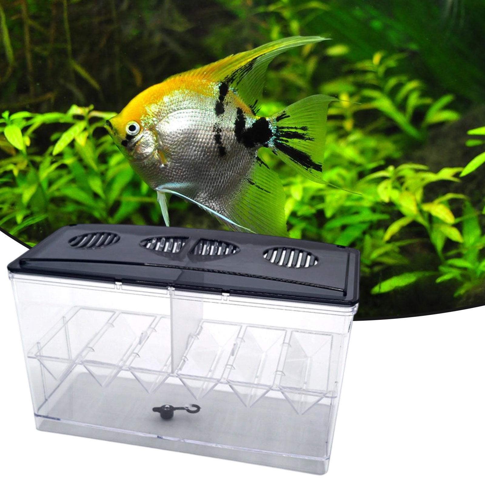Schwimmende Fischzucht-Isolati – Aquarium Fish Jar Bewertung und Preis