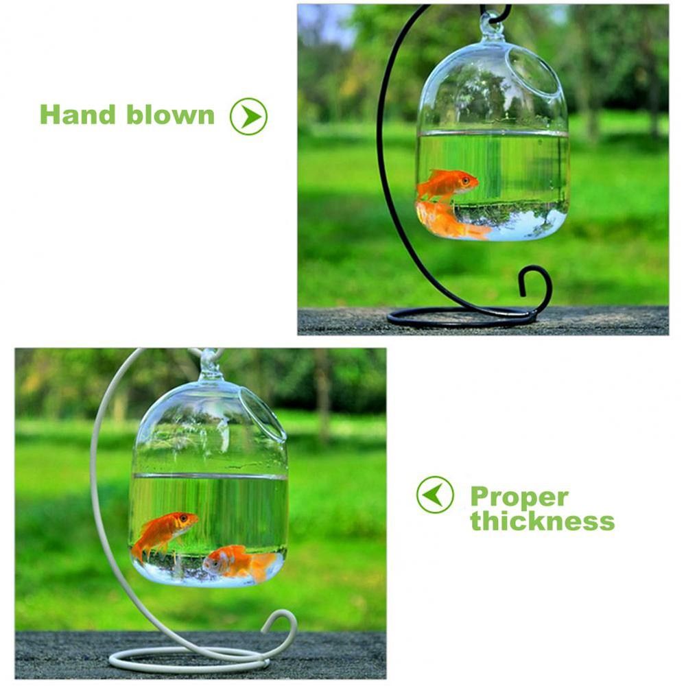 Aquarium-Dekoration Wandmontag – Aquarium Fish Jar Bewertung und Preis