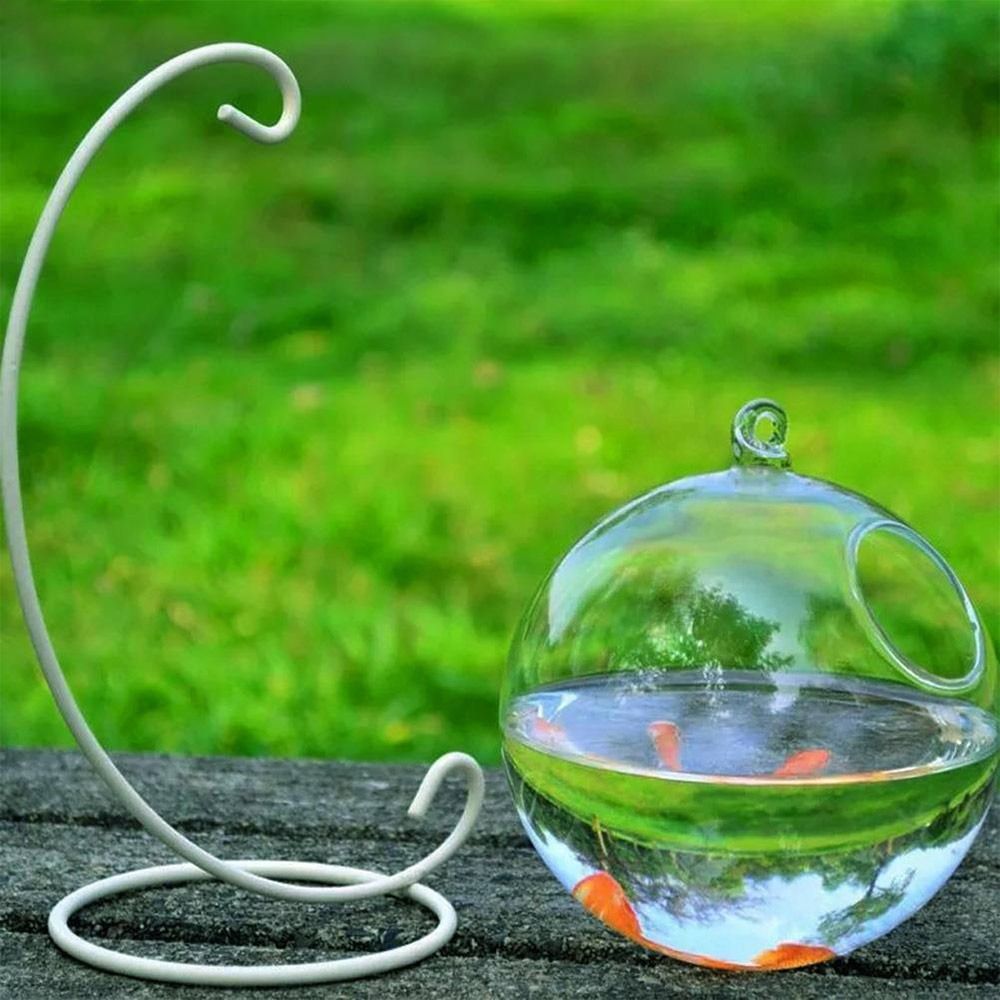Aquarium-Dekoration Wandmontag – Aquarium Fish Jar Bewertung und Preis