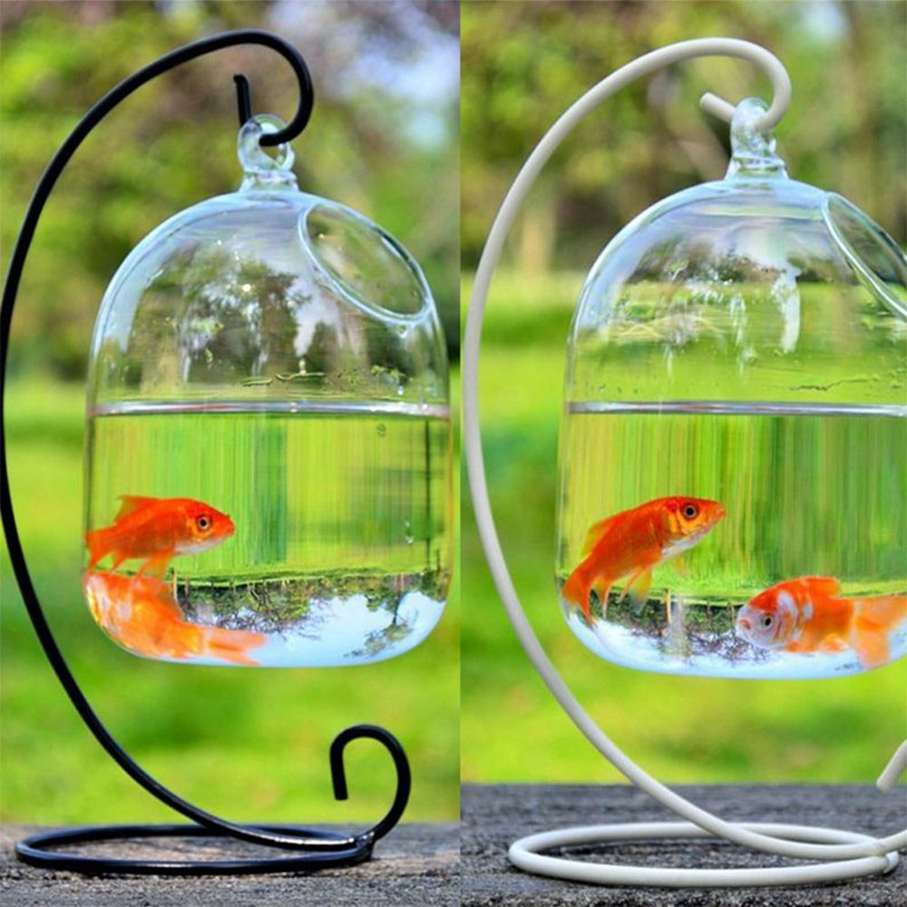 Aquarium-Dekoration Wandmontag – Aquarium Fish Jar Bewertung und Preis