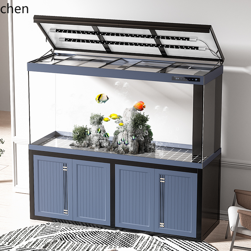 CZ neues Drachenfisch-Aquarium – Aquarium Fish Dragon Bewertung und Preis
