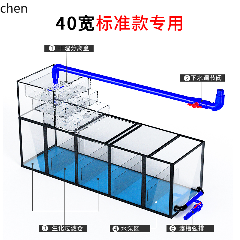 CZ neues Drachenfisch-Aquarium – Aquarium Fish Dragon Bewertung und Preis