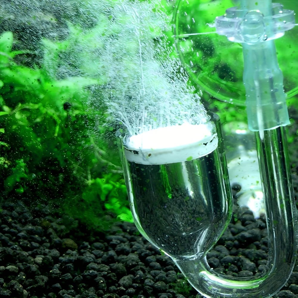 Aquarium Glas CO2 Zerstäuber D – Aquarium Fish Quarantine Bewertung und Preis