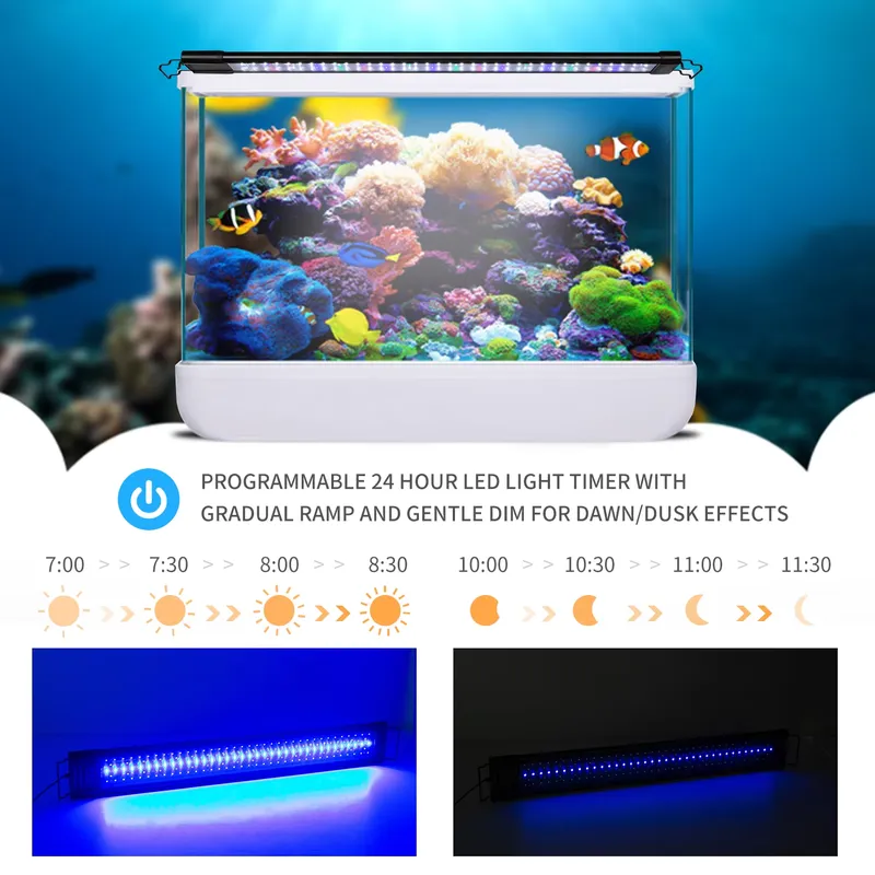 LED Programmierbare Aquariumbe – Aquarium Fish Light Lamp Bewertung und Preis