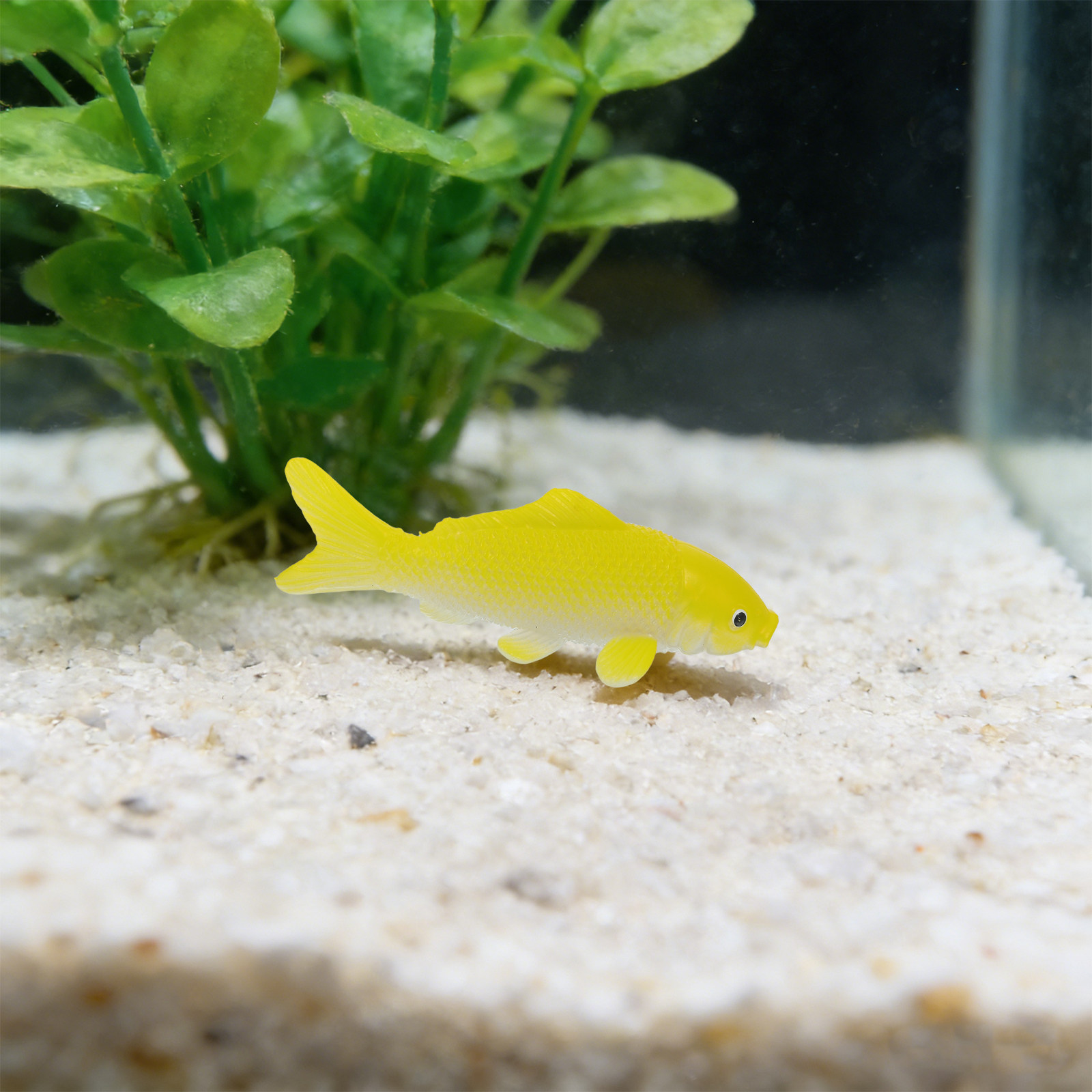 3-teiliges Fisch-Kunsthandwerk – Fish Aquarium Home Bewertung und Preis