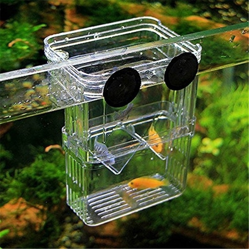 Multifunktionale Fisch Aquariu – Aquarium Fish Cave Bewertung und Preis