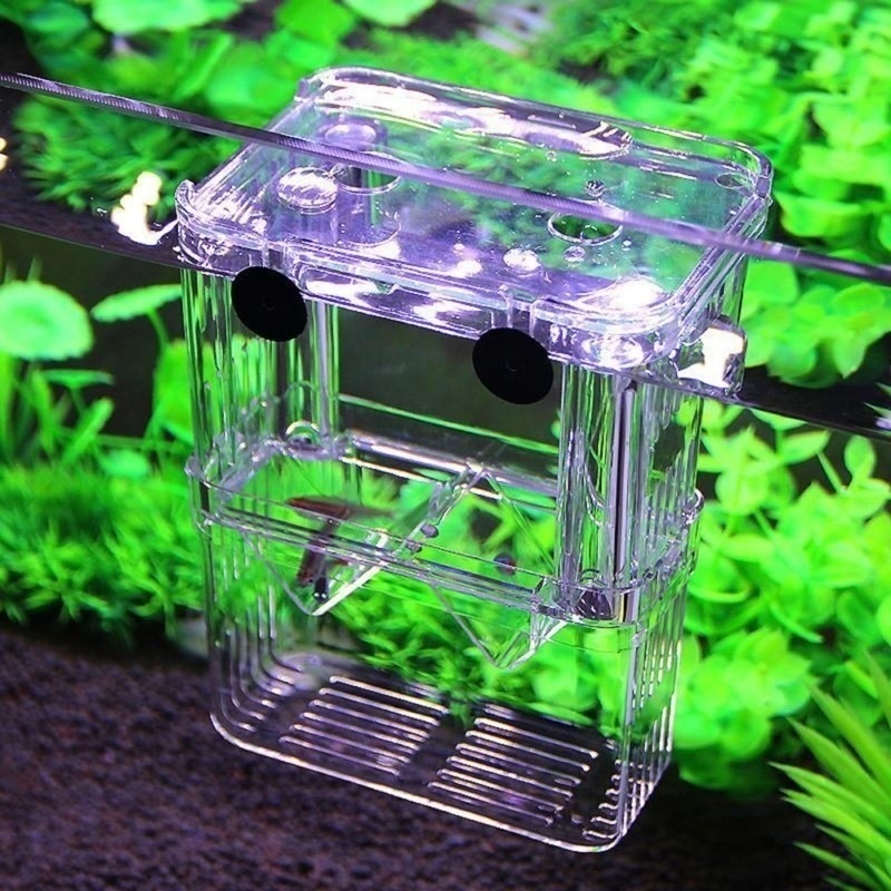 Multifunktionale Fisch Aquariu – Aquarium Fish Cave Bewertung und Preis