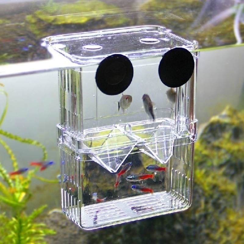 Multifunktionale Fisch Aquariu – Aquarium Fish Cave Bewertung und Preis