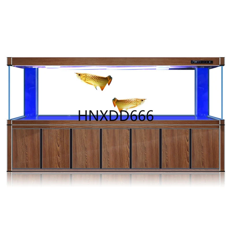 Großes goldenes Drachenfisch-A – Aquarium Fish Dragon Bewertung und Preis