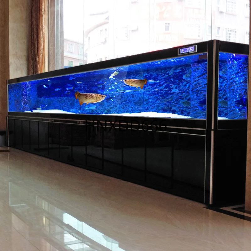 Großes goldenes Drachenfisch-A – Aquarium Fish Dragon Bewertung und Preis