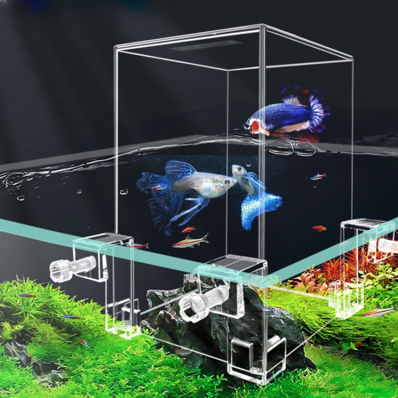 Kreative Aquarien Tanks Unterd – Aquarium Fish Jar Bewertung und Preis