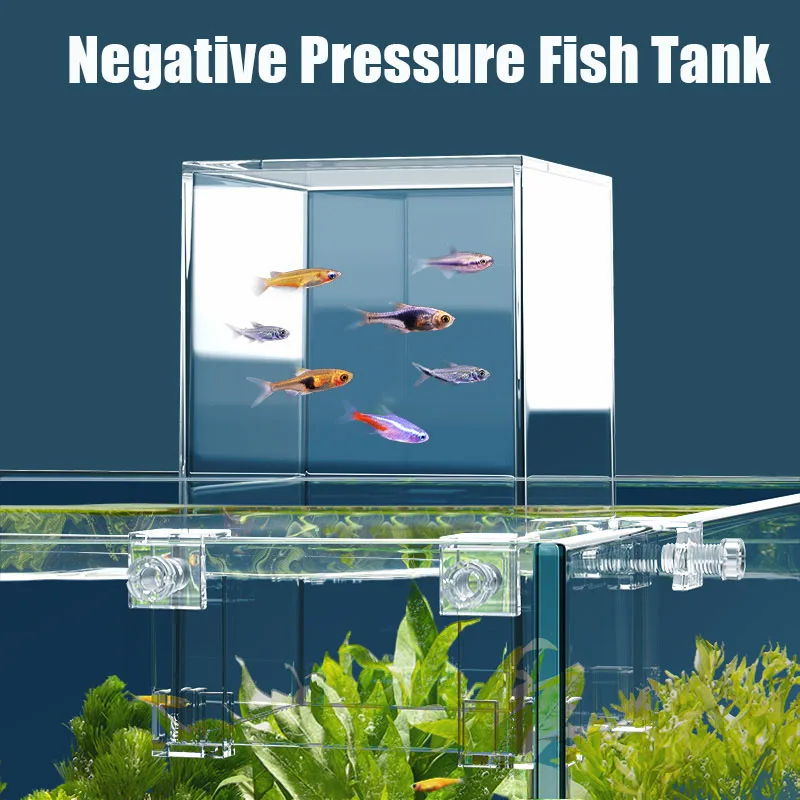 Kreative Aquarien Tanks Unterd – Aquarium Fish Jar Bewertung und Preis
