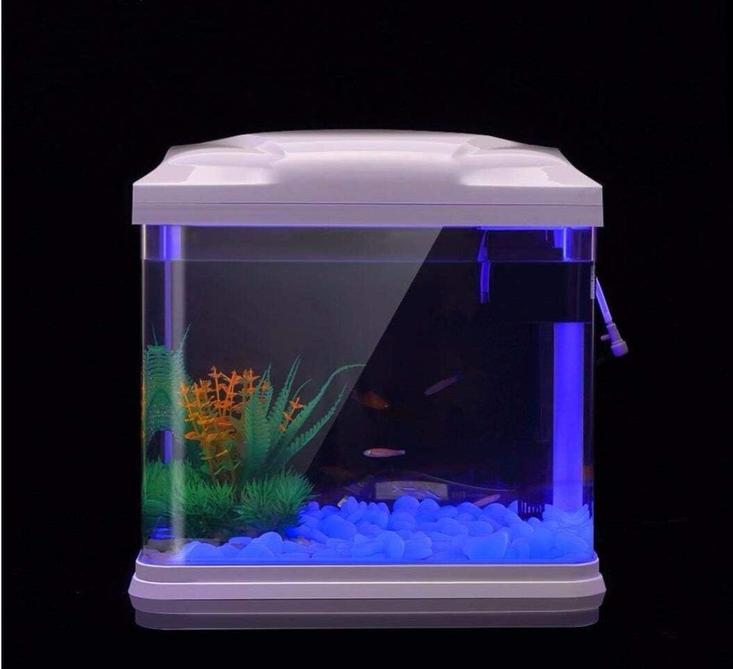 Aquarium-Felsen leuchten blaue – Aquarium Fish Quarantine Bewertung und Preis