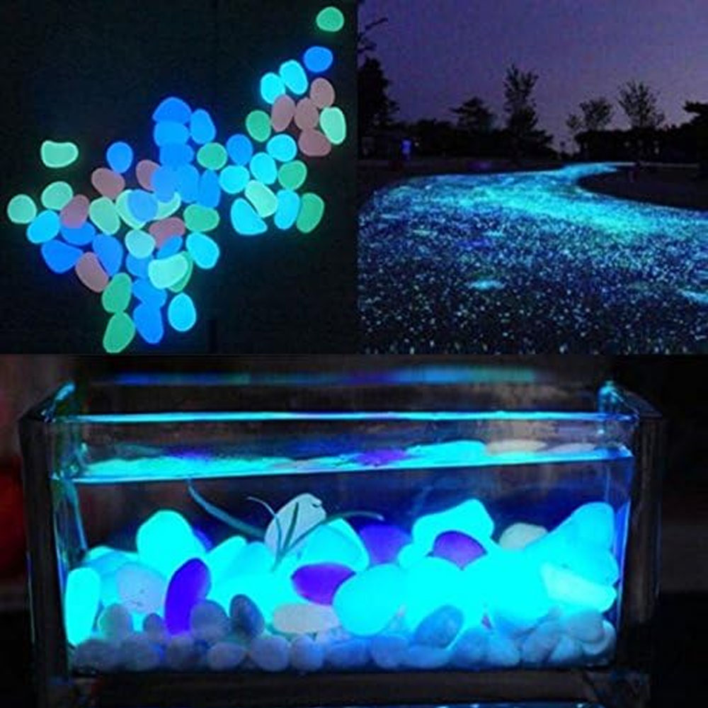 Aquarium-Felsen leuchten blaue – Aquarium Fish Quarantine Bewertung und Preis