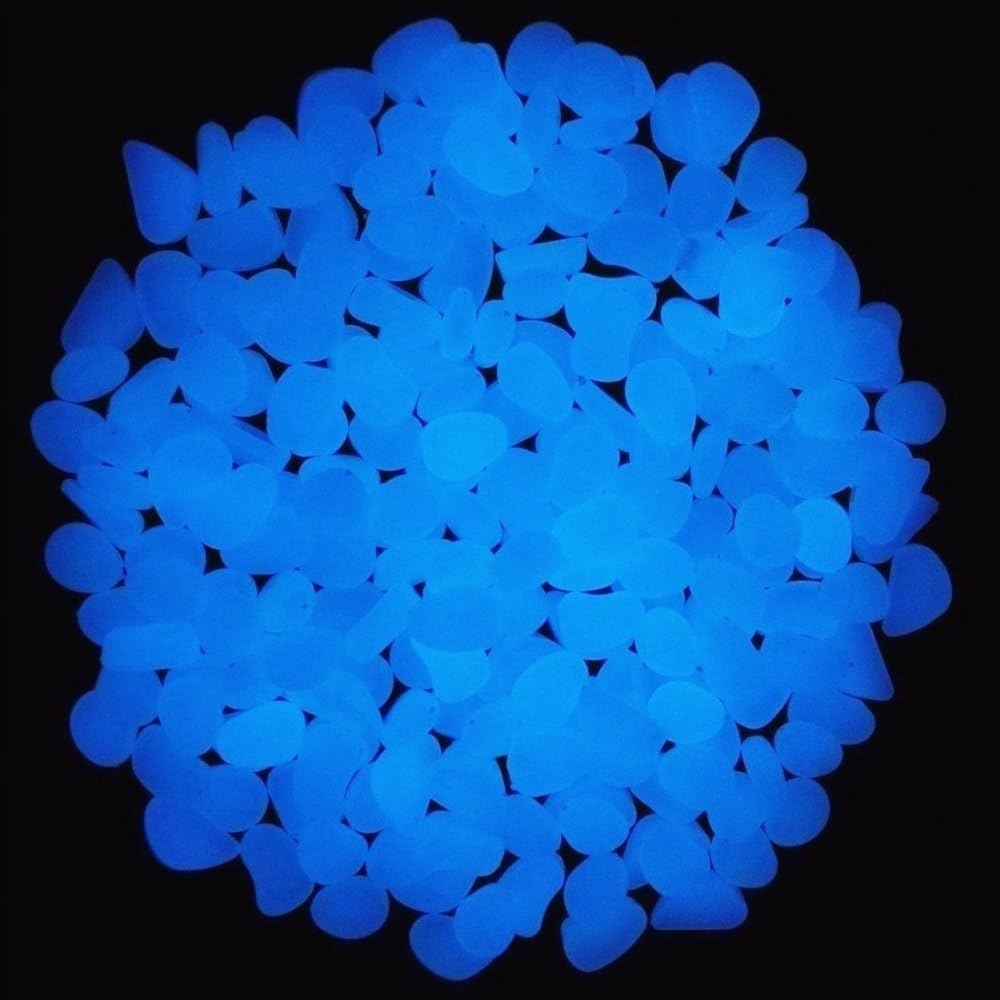 Aquarium-Felsen leuchten blaue – Aquarium Fish Quarantine Bewertung und Preis