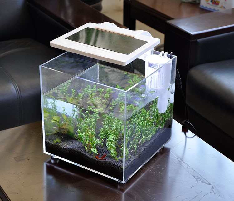 Mini-Acryl-Aquarium (25*25*25c – Aquarium Fish Sale Bewertung und Preis