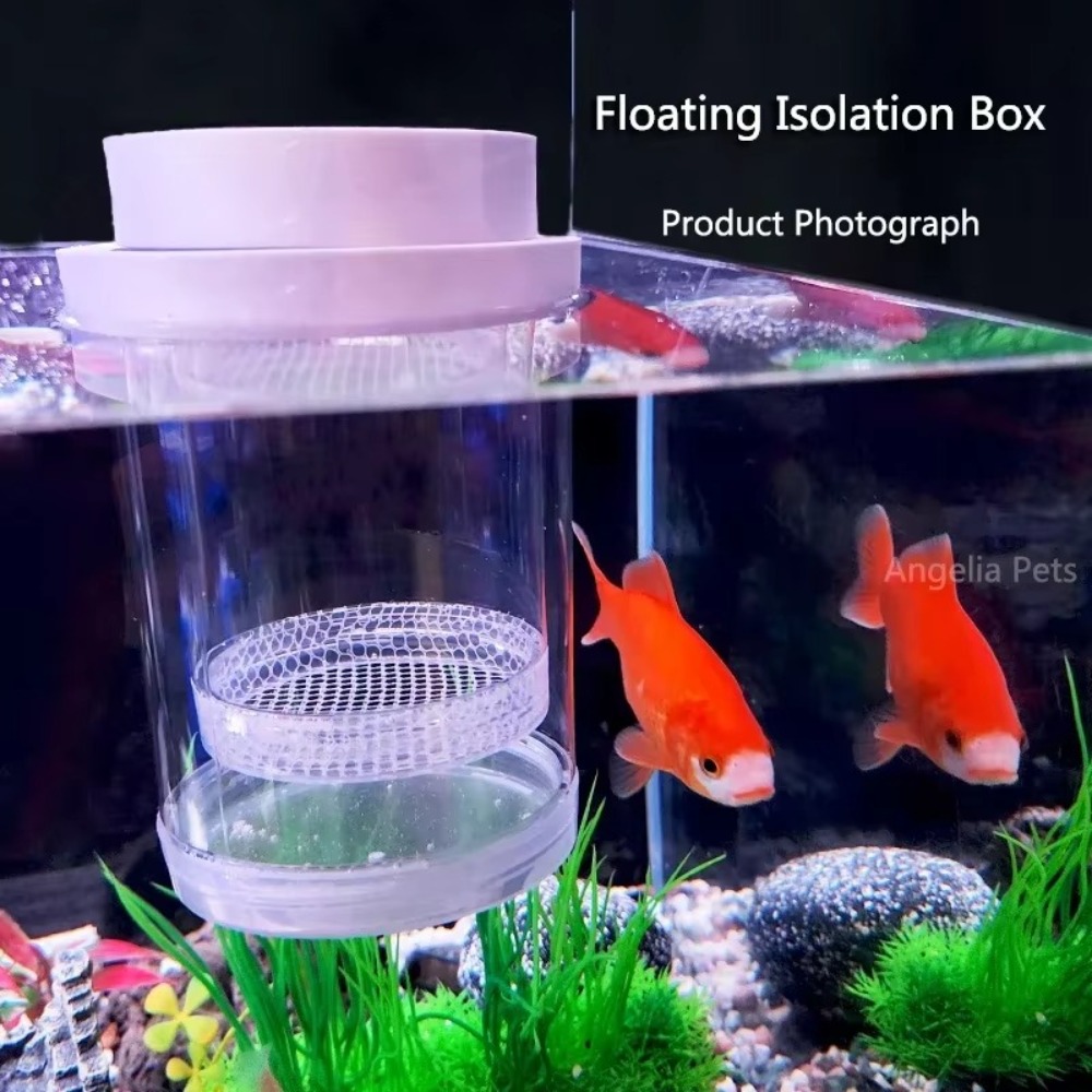 Kunststoff Schwimmende Fische  – Aquarium Fish Cave Bewertung und Preis