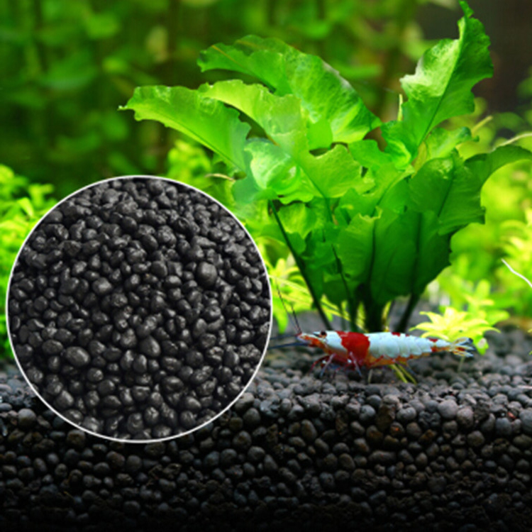 Aquarium Pflanzen Samen Boden  – Aquarium Fish Quarantine Bewertung und Preis