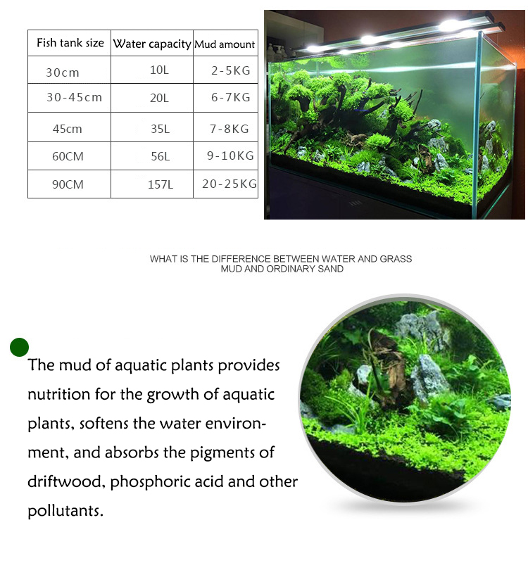 Aquarium Pflanzen Samen Boden  – Aquarium Fish Quarantine Bewertung und Preis
