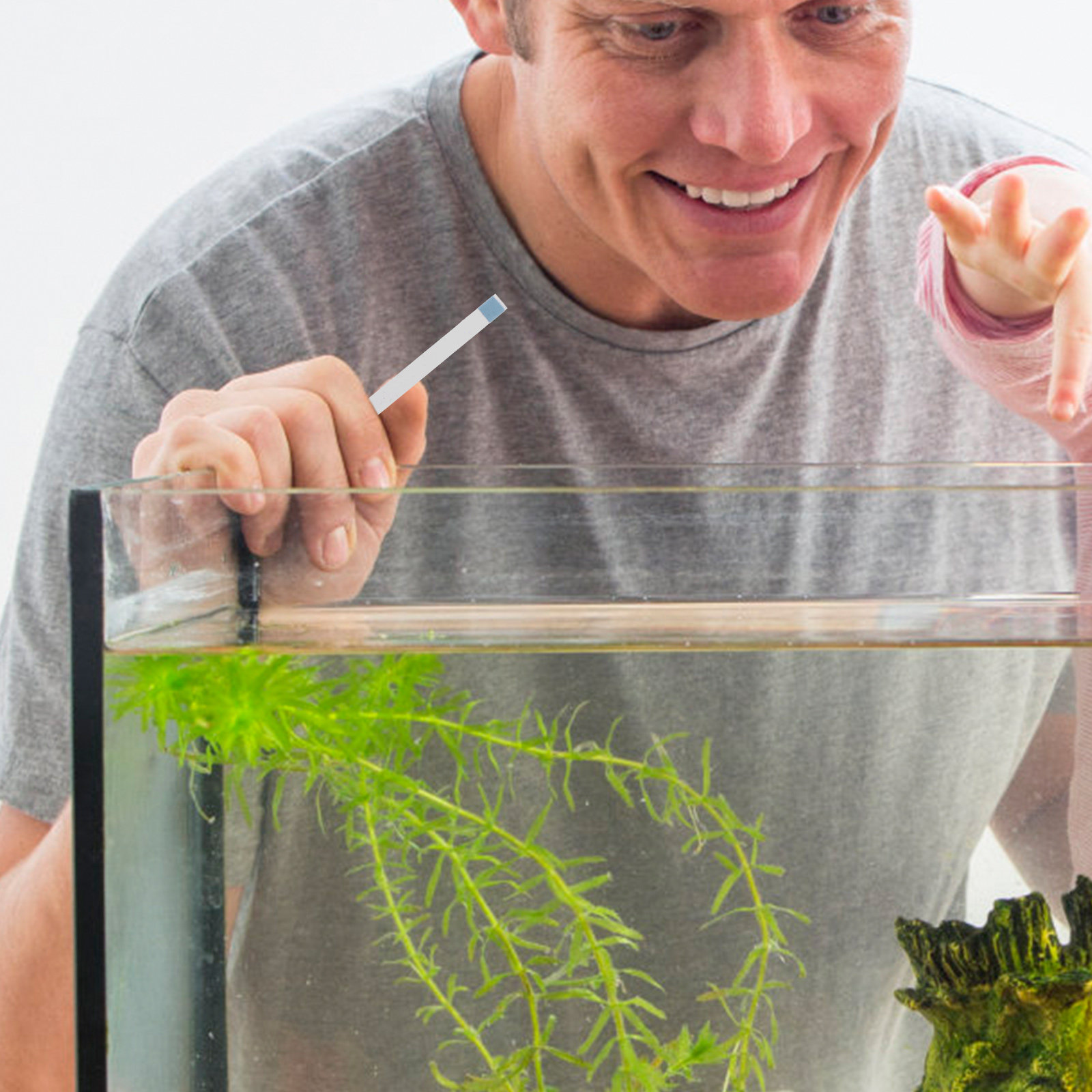 1 Box Wasserhärte-Teststreifen – Aquarium Test Kit Bewertung und Preis