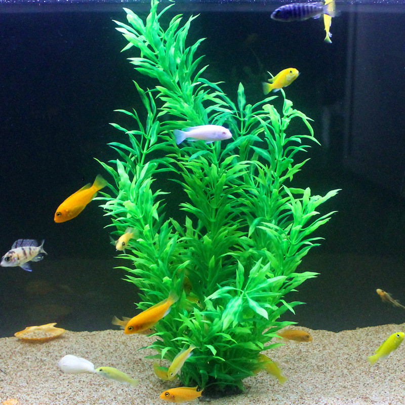 50CM Künstliche Aquarium Selte – Aquarium Fish Quarantine Bewertung und Preis