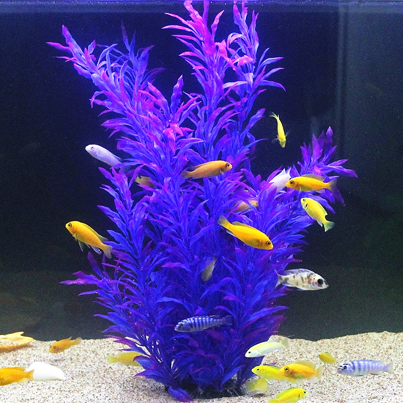 50CM Künstliche Aquarium Selte – Aquarium Fish Quarantine Bewertung und Preis