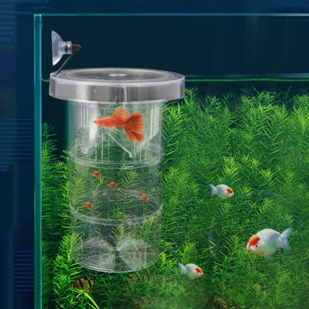 Acryl Schwimmende Fische Zucht – Aquarium Fish Cave Bewertung und Preis