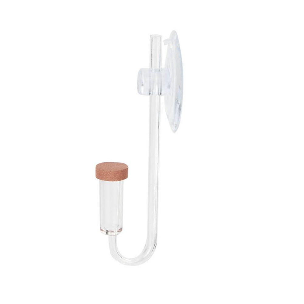 Acryl Mini Aquarium Live Pflan – Aquarium Fish Quarantine Bewertung und Preis