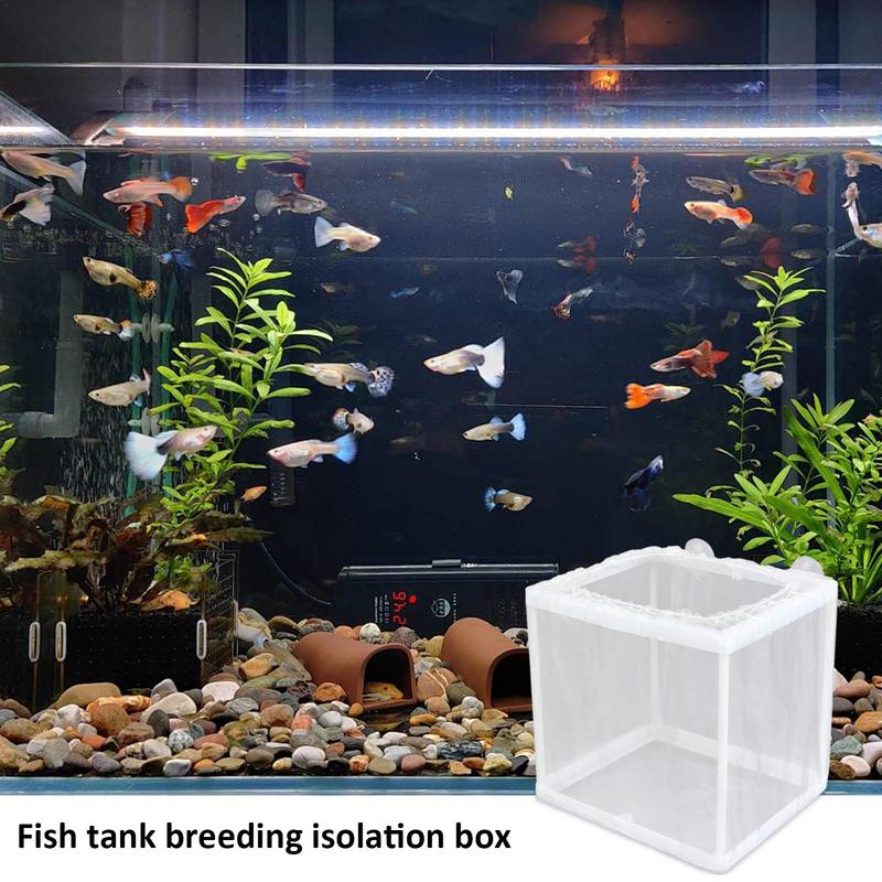 Fischzucht Box DIY Aquarium Br – Aquarium Fish Jar Bewertung und Preis