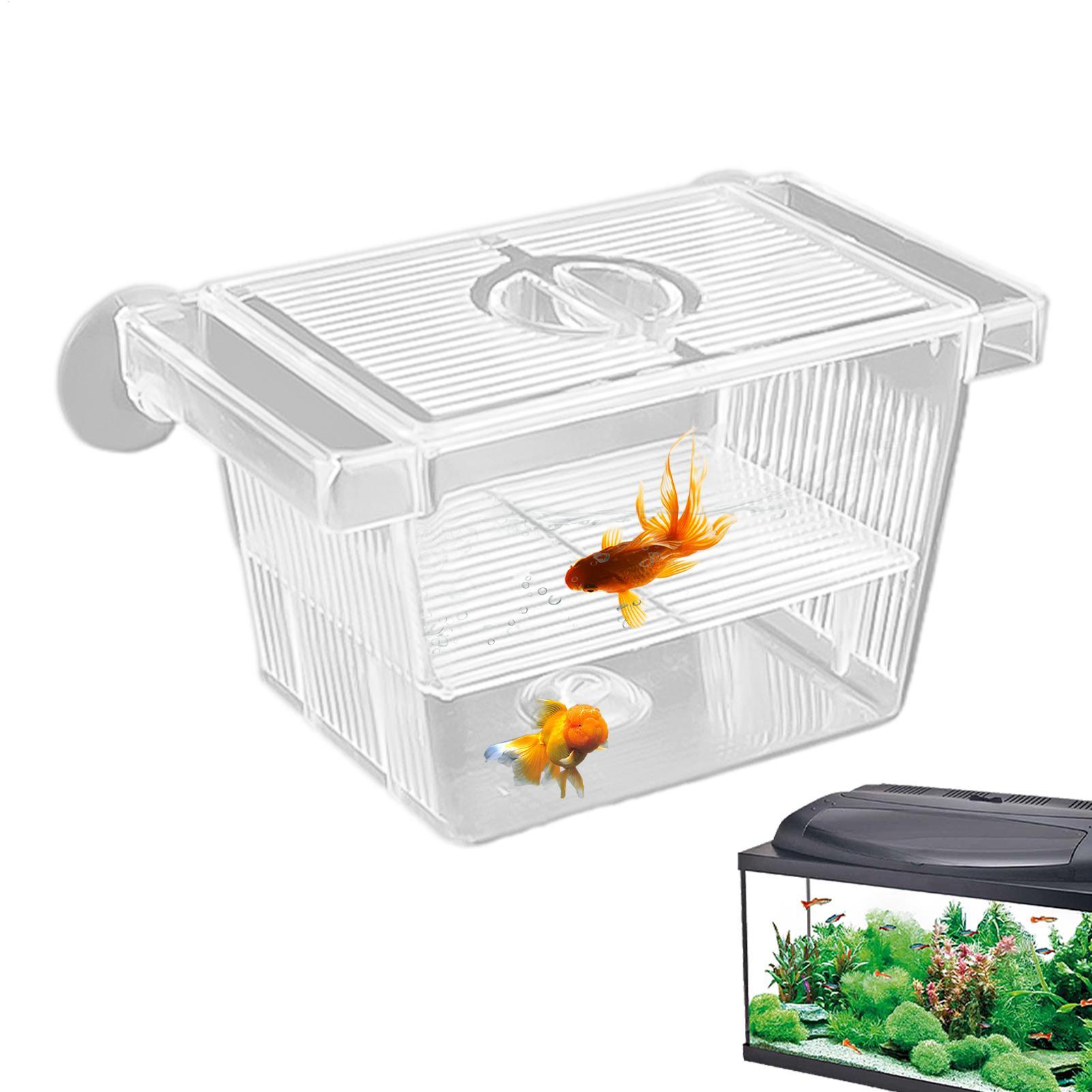 Aquarium-Brutkasten aus Acryl, – Aquarium Fish Jar Bewertung und Preis
